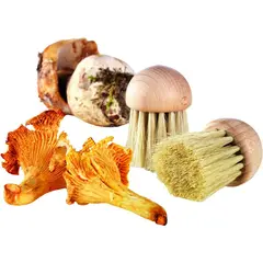 Βούρτσα μανιταριών φυσικής τρίχας, φ4cm,Bonne Graine, Louis Tellier LT.YC90006