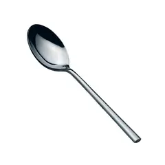 Κουτάλι Φαγητού 200mm (Σειρά 250 18/10 5mm), Salvinelli Ιταλίας  (τιμή για 12 τεμάχια) CT25