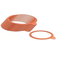 Σετ 10 λαστιχάκια για δοχεία με καπάκι φ100mm, WECK Γερμανίας WECK-GR94/108