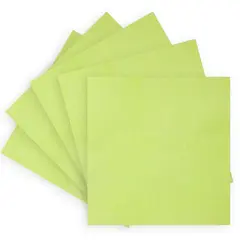 Πακέτο 5 τμχ 38x38cm πανιά Steel-T, 285gr/m2, για κουζίνες, inox επιφάνειες, πλακάκια, Πράσινο, TTS Cleaning TTS.TCH401040