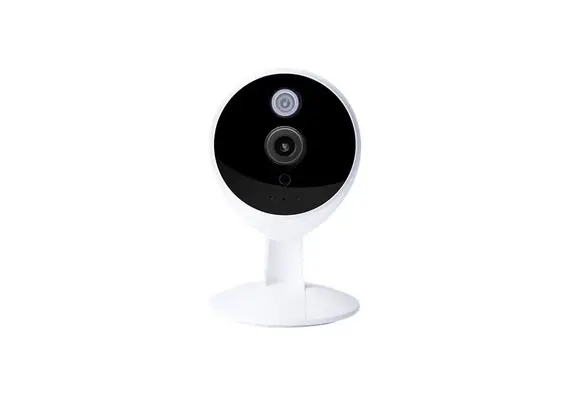 FC1405P ΕΓΧΡΩΜΗ ΚΑΜΕΡΑ IP  "REALSAFE"