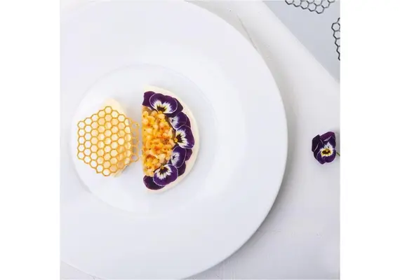 Αντικολλητικό καλούπι σιλικόνης GOURMET, 30x20cm, 8 x Κηρήθρες, Pavoni GG047S