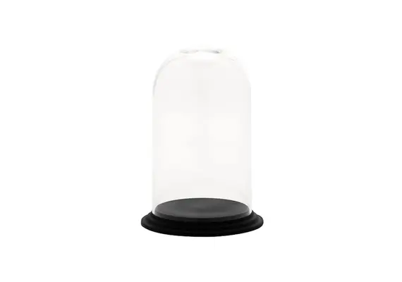 Καπάκι τουρτιέρας/δίσκου PC, φ15xΥ25cm, 497gr, Morleos Εξαιρετικής ποιότητας με άψογη εμφάνιση. MELO.D150-250