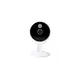 FC1405P ΕΓΧΡΩΜΗ ΚΑΜΕΡΑ IP  "REALSAFE"