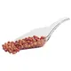 Ακρυλική Σέσουλα Διάφανη 1/2kg, 28cm, GARIBALDI LP-34/LPA34-14
