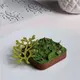 Αντικολλητικό καλούπι σιλικόνης GOURMET, 30x20cm, 8 x Bonsai, Pavoni GG030S